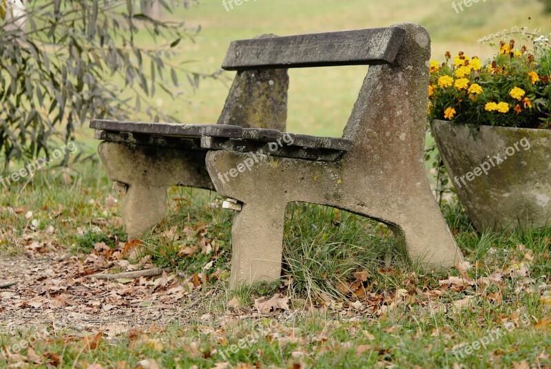 Tranquility Base Wooden Bench Bank Autumn Forest