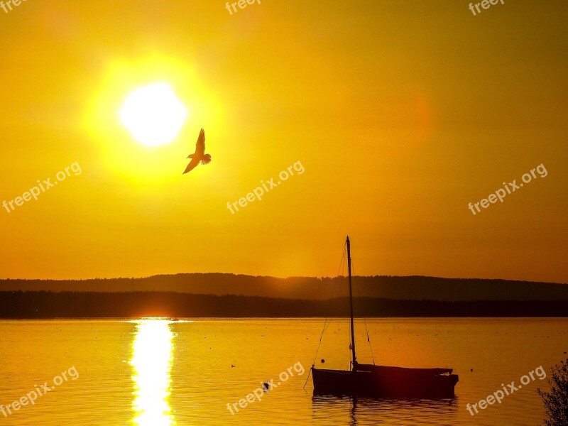 Steinhuder Sea Sea Landscape Sunset Nature