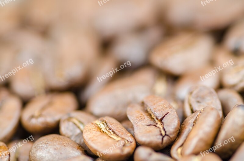 Coffee Brown Caffeine Seed Background