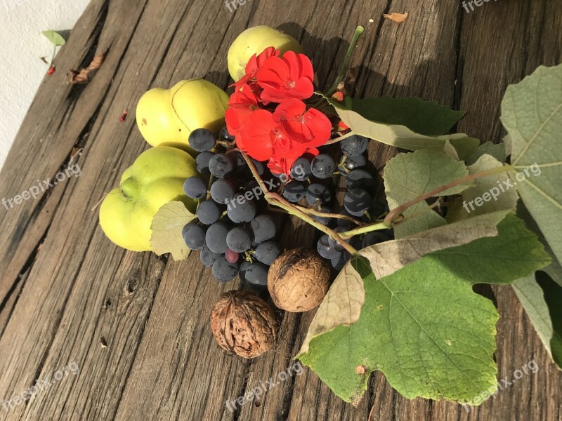 Still Life Fruits Harvest Garden Quince