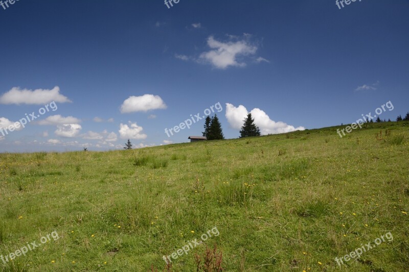 Meadow Landscape Nature Sky Blue