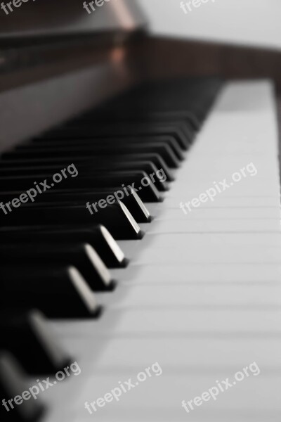 Piano Keys Music Piano Keyboard Instrument