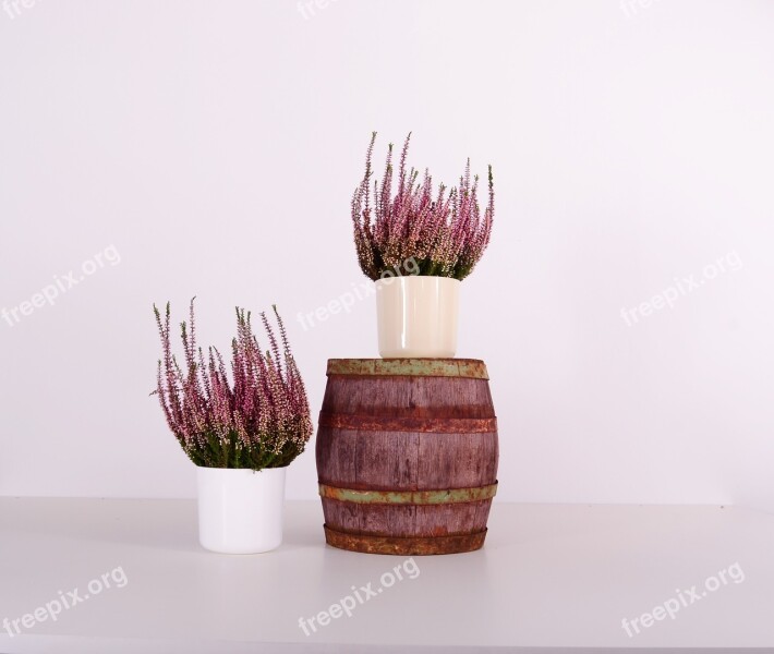 Flowerpots Plastic Color Home Indoor