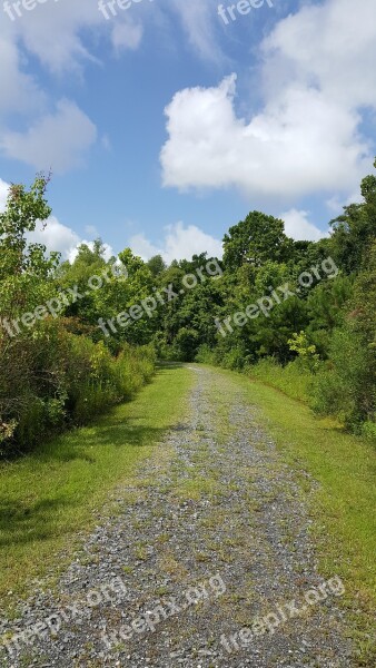 Conservation Area Trees Nature Conservation Area