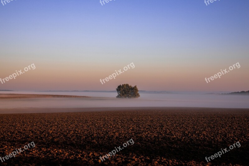 Autumn Landscape Lonely Tree Critter Fog Nature