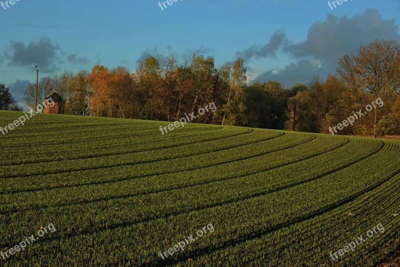 Chapel Fall Furrow Grass Field