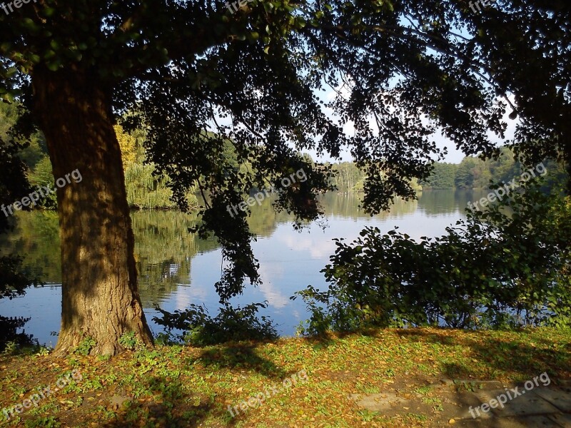 Water Climatically Landscape Nature Pond