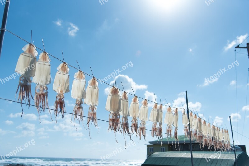 Sky Sea Jeju Island Scenery Blue Sky