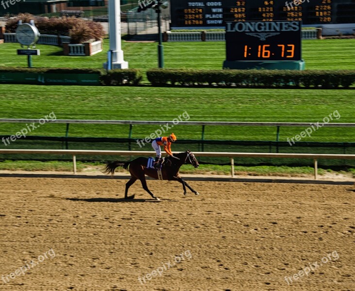 Kentucky Louisville Horse Racing Horse Racecourse