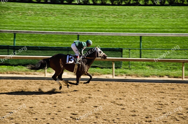 Kentucky Louisville Horse Racing Horse Racecourse