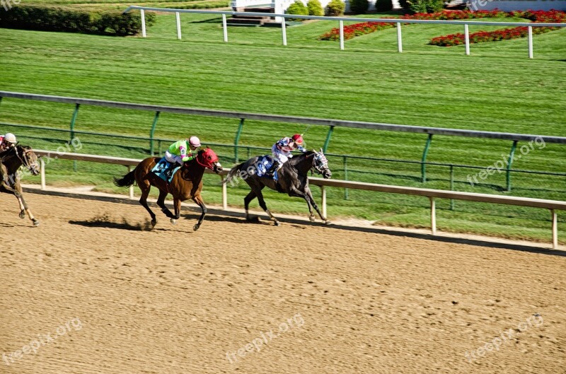 Kentucky Louisville Horse Racing Horses Racecourse