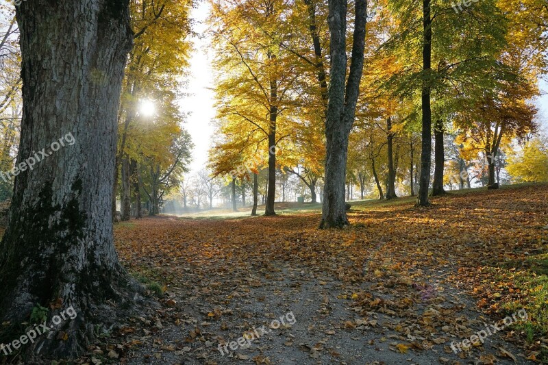 Autumn Hike Tuttlingen Honing Mountain Honing Castle