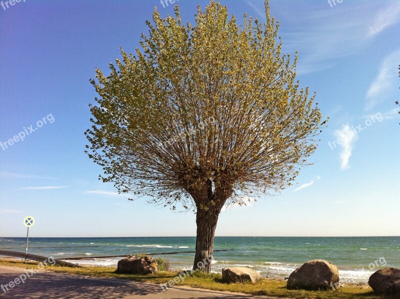 Baltic Sea Boltenhagen Summer Beach Coast