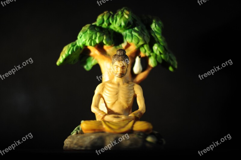 Buddha Enlightenment Bodhi Tree Meditation Spiritual