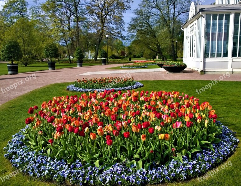 Tulips Gothenburg The Garden Society Of Gothenburg Tulip Discount