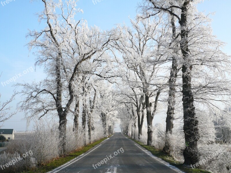 Road Winter Snow Wintry Nature