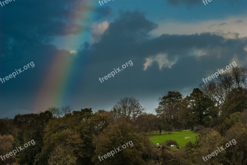 Landscape Normandy Rainbow Sky Cow