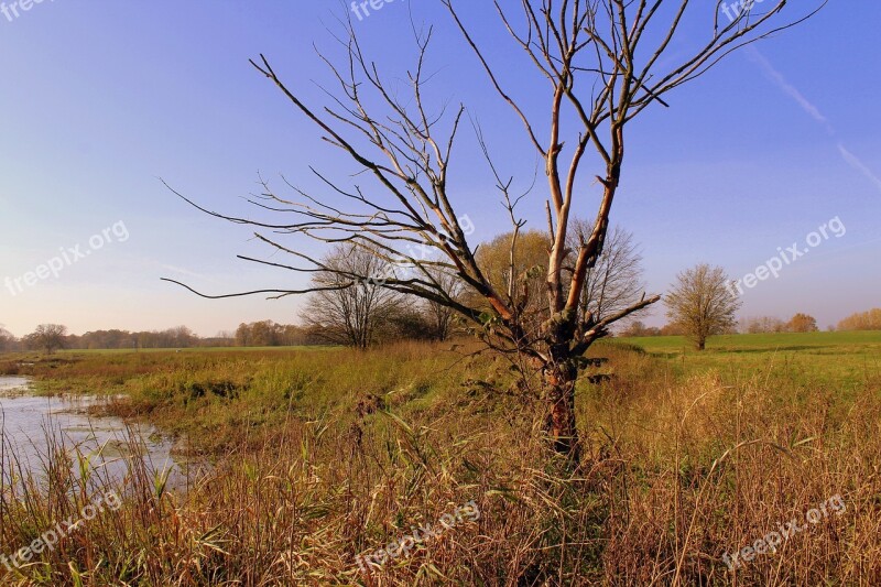 Autumn Landscape Bare Trees Seasons Of The Year Vanishing Autumn Walk