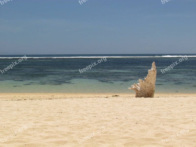 Beach Sea Water Sun Air