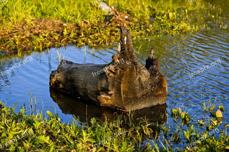 Water Background Old Landscape Nature