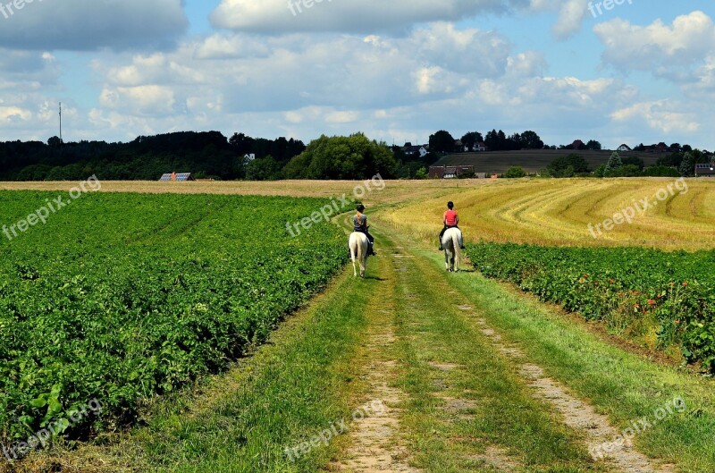 Ride Riding Equestrian Reiter Landscape