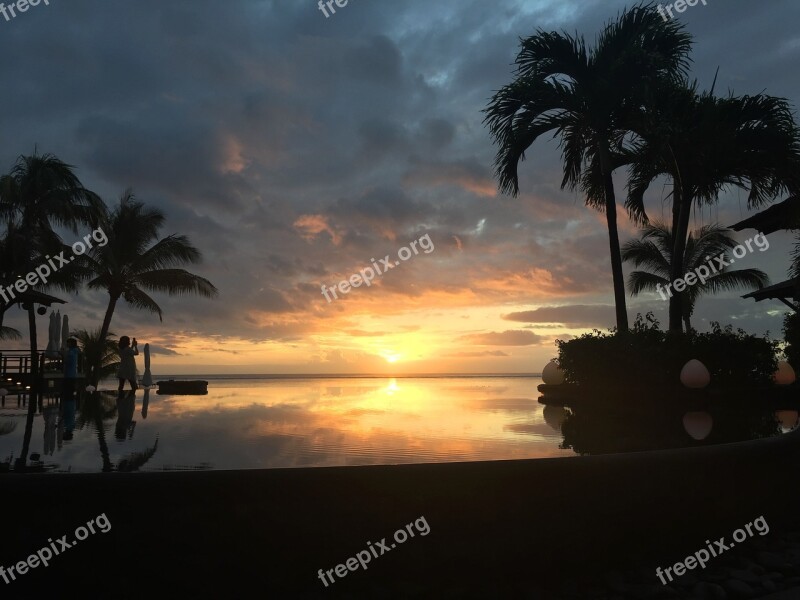 Mauritius Pool Evening Palm Trees Vacations