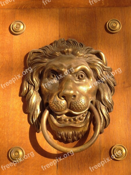 Door Knocker The Head Of A Lion The Door Wooden Entrance