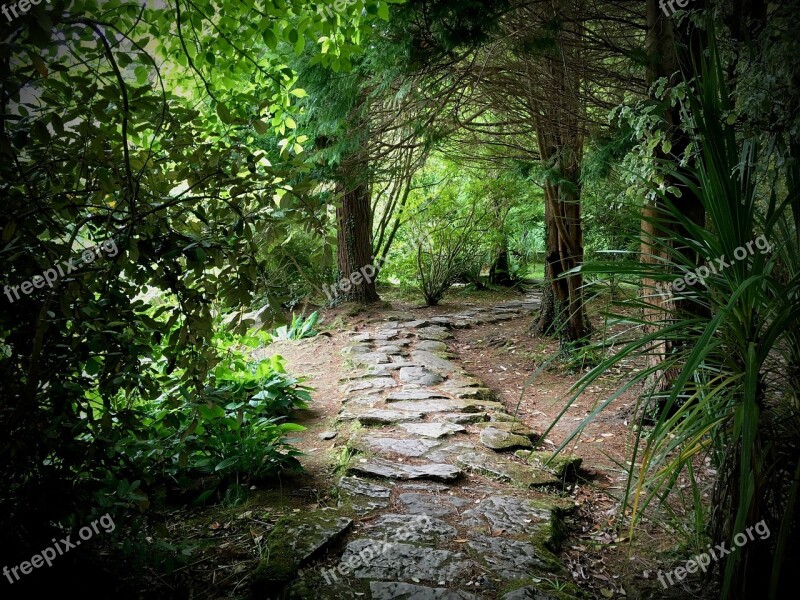 Garden Path Stone Path Garden Stone Landscape