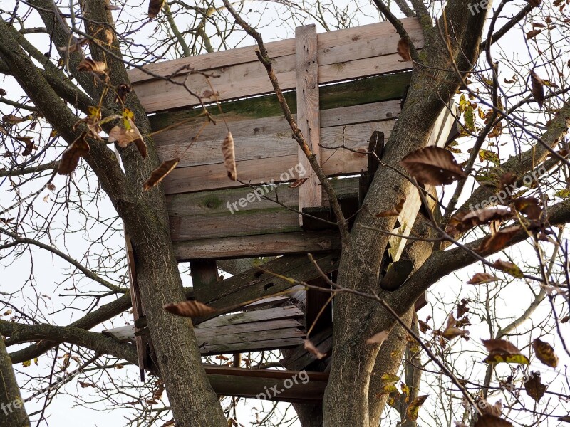 Treehouse Weathered Wood Old Tree