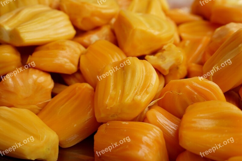 Jack Fruit Processed Fruit Freshly Harvest Tropical Malaysia