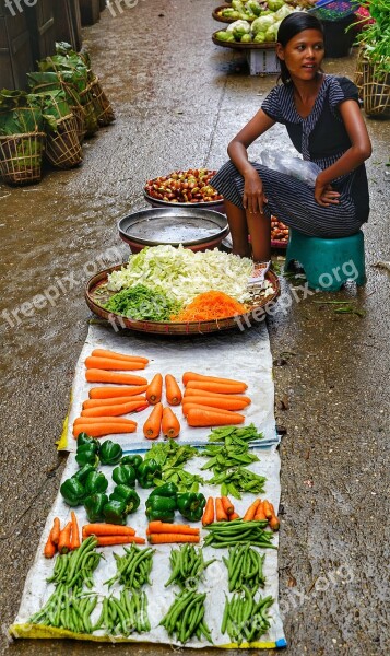 Street Selling Trader Vegetables Simple