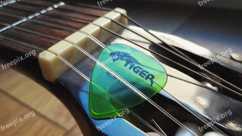 Guitar Plectrum Tiger Handle Strings