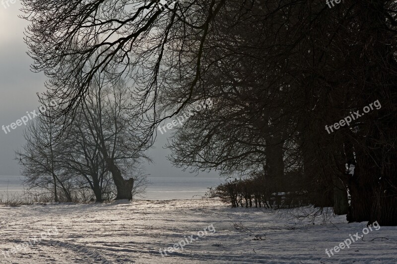 Winter Rügen Baltic Sea Place Lauterbach Landscape