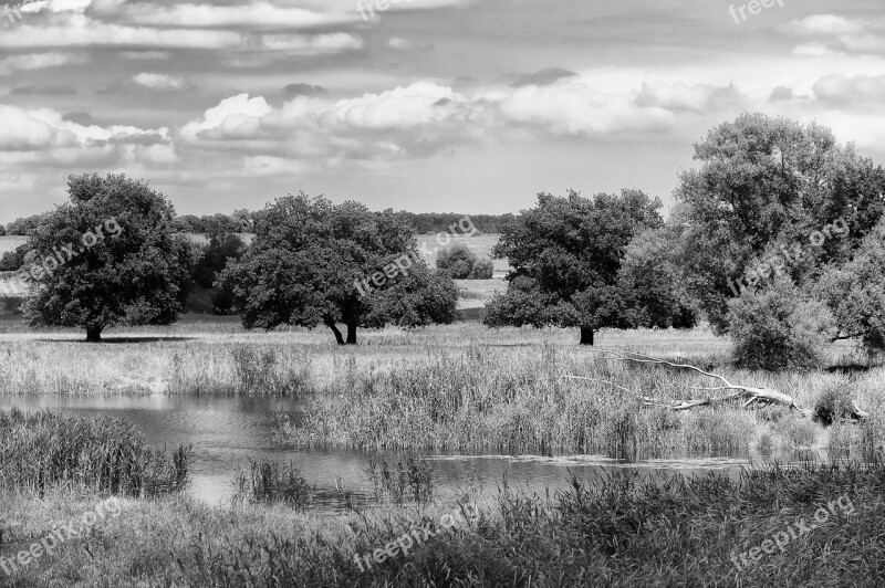 Landscape Oderbruch Nature River Black White