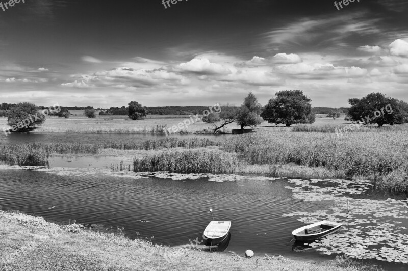 Landscape Oderbruch Nature River Black White