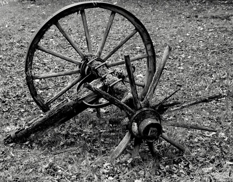 Wagon Wheel Wheel Wood Wooden Wheel Spokes