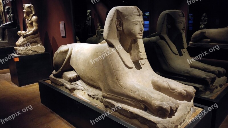 Torino Egyptian Museum Egyptian Statues Antiquity Piemonte