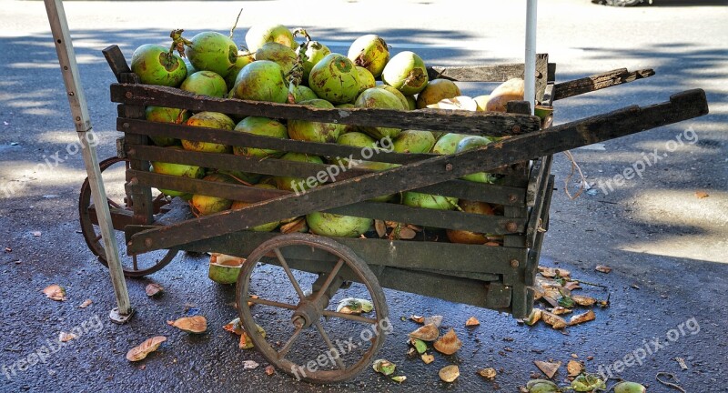 Cart Wooden Coconuts Yangon Myanmar