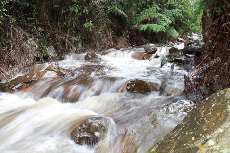 River Gushing Running Stream Torrent