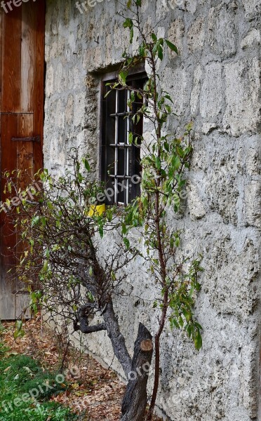 Facade Old Romantic Weathered Wall