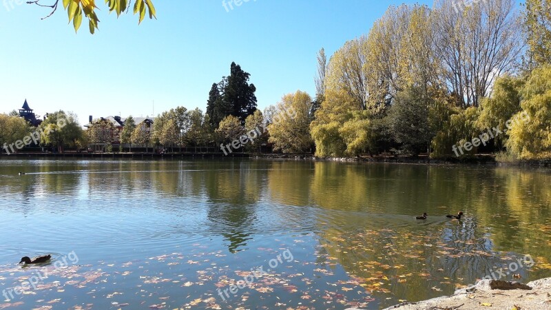 Tree Lake Body Of Water No Person River