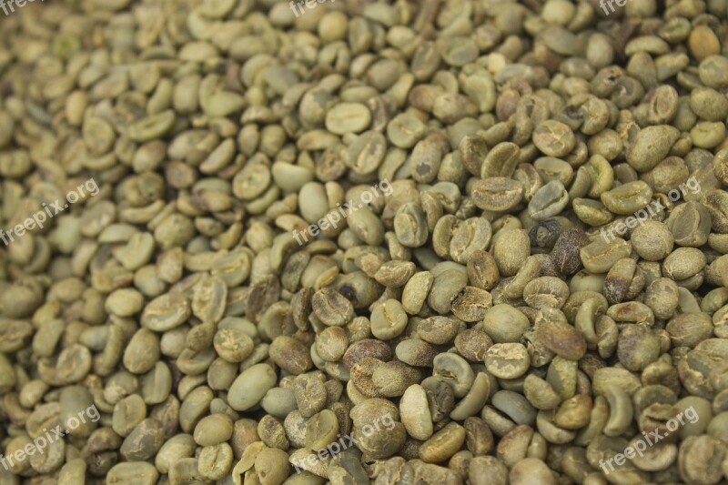 Seed Coffee Not In Shell Dried Seed Coffee Grain Mosaic