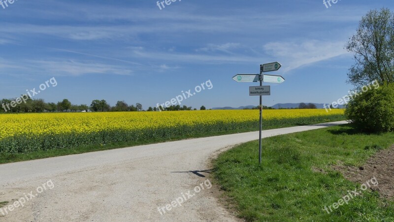 Oilseed Rape Field Landscape Yellow Rape Blossom