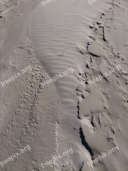 Background Maritime Wind Painting Close Up Sand Beach