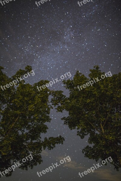 Star Sky Starry Sky Night Sky Evening