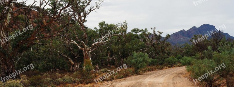 Outback Australia Flinders Ranges Remote Dead Trees Barren