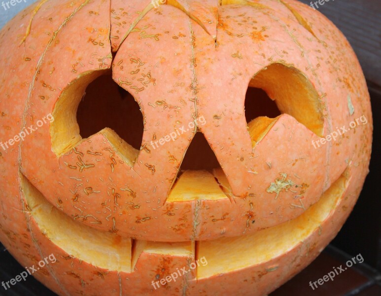 Pumpkin Halloween A Vegetable Orange Autumn