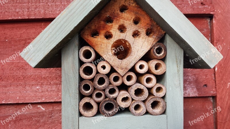 Natural Bees Wood Garden Nature