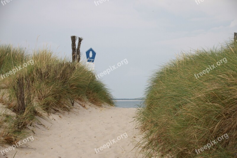 Elbow Nature Dunes North North Sea