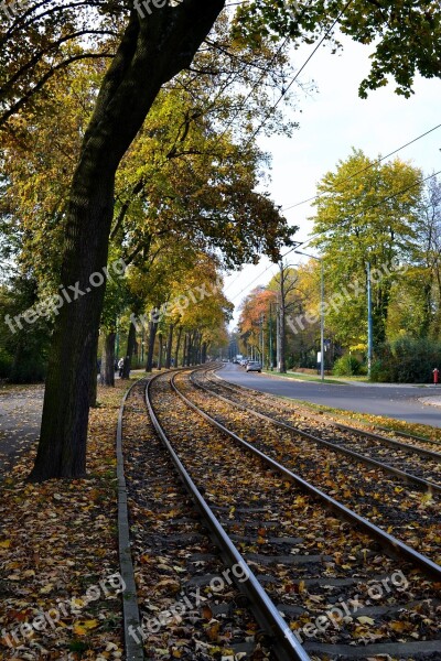 Autumn Tracks The Prospect Of Poznan Free Photos